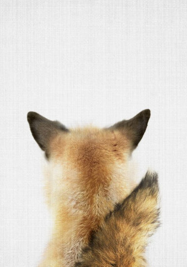 PHOTOWALL / Baby Fox Tail (e322754)