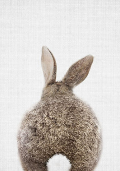 PHOTOWALL / Bunny Rabbit Tail (e322755)