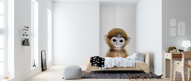PHOTOWALL / Baby Monkey (e322758)