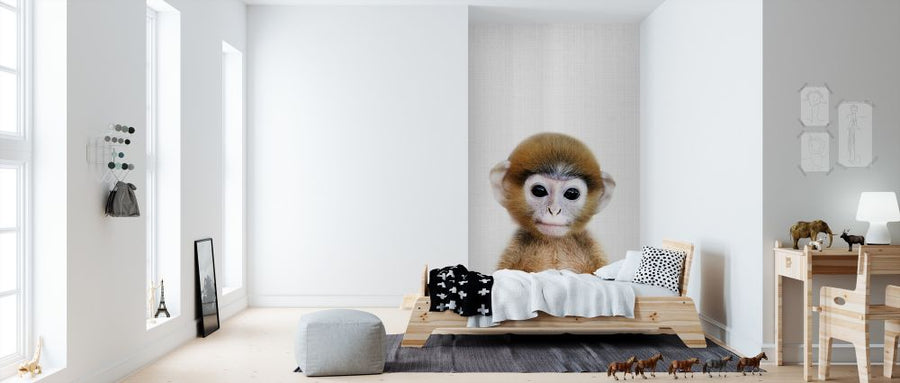 PHOTOWALL / Baby Monkey (e322758)