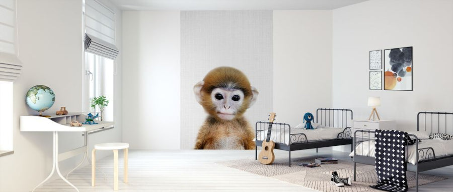 PHOTOWALL / Baby Monkey (e322758)