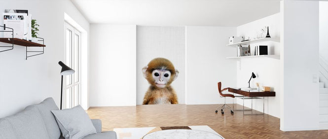 PHOTOWALL / Baby Monkey (e322758)