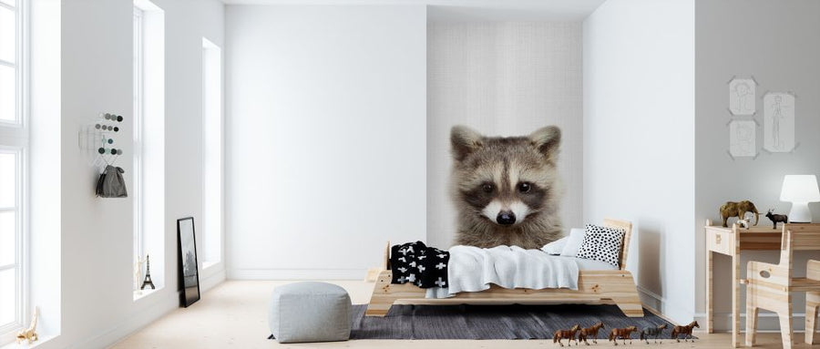 PHOTOWALL / Raccoon (e322761)