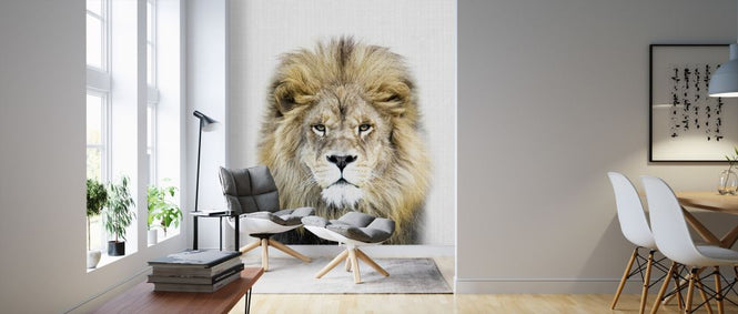 PHOTOWALL / Lion (e322763)
