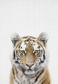 PHOTOWALL / Tiger (e322764) | 輸入壁紙専門店 WALPA – WALPA.jp