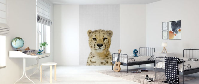 PHOTOWALL / Cheetah (e322768)