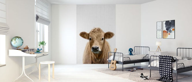 PHOTOWALL / Cow (e322769)