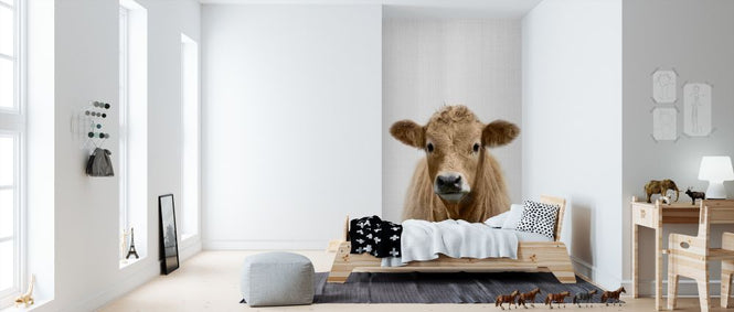 PHOTOWALL / Cow (e322769)