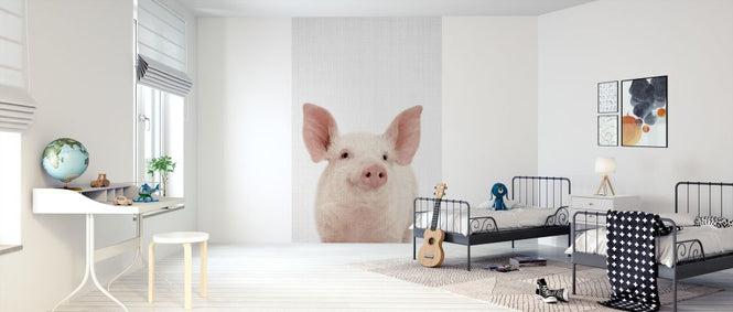 PHOTOWALL / Piglet (e322770)