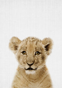 PHOTOWALL / Baby Lion (e322771) | 輸入壁紙専門店 WALPA – WALPA.jp