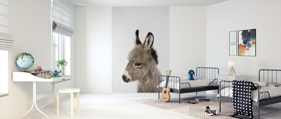 PHOTOWALL / Baby Donkey (e322772)