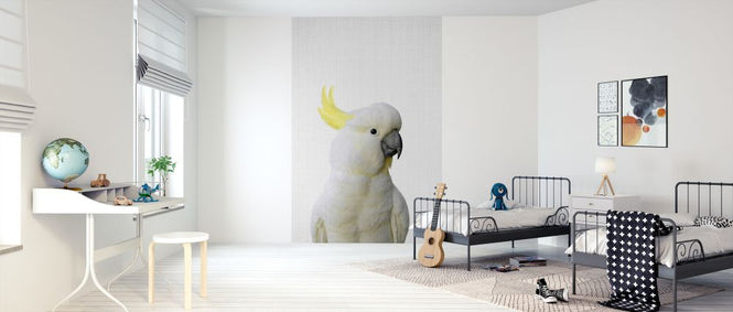 PHOTOWALL / Cockatoo (e322776)