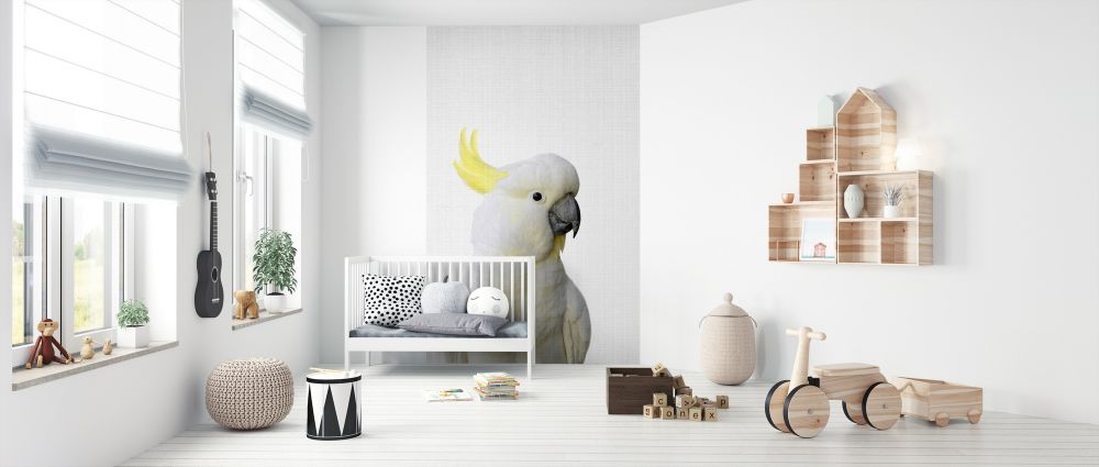 PHOTOWALL / Cockatoo (e322776) | 輸入壁紙専門店 WALPA – WALPA.jp