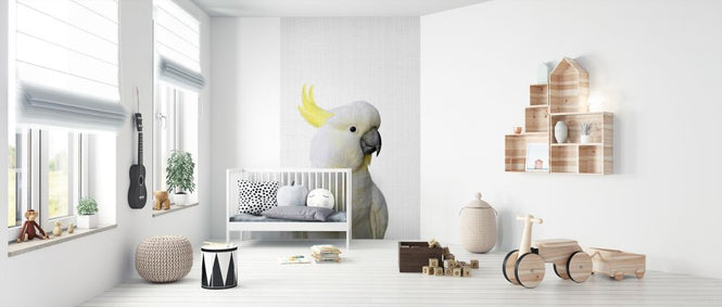 PHOTOWALL / Cockatoo (e322776)