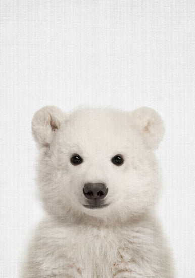 PHOTOWALL / Baby Polar Bear (e322777)