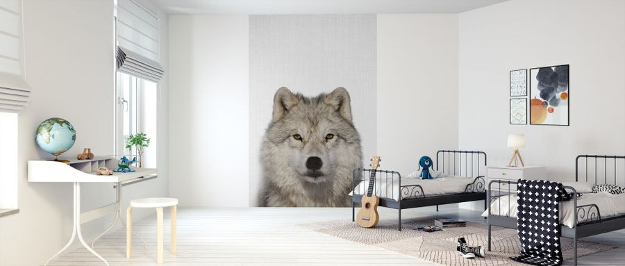 PHOTOWALL / Coyote (e322783)