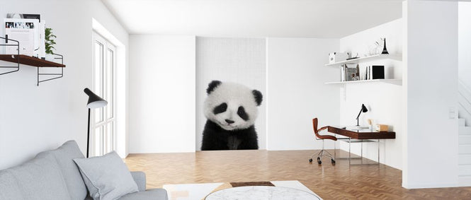 PHOTOWALL / Panda (e322785)