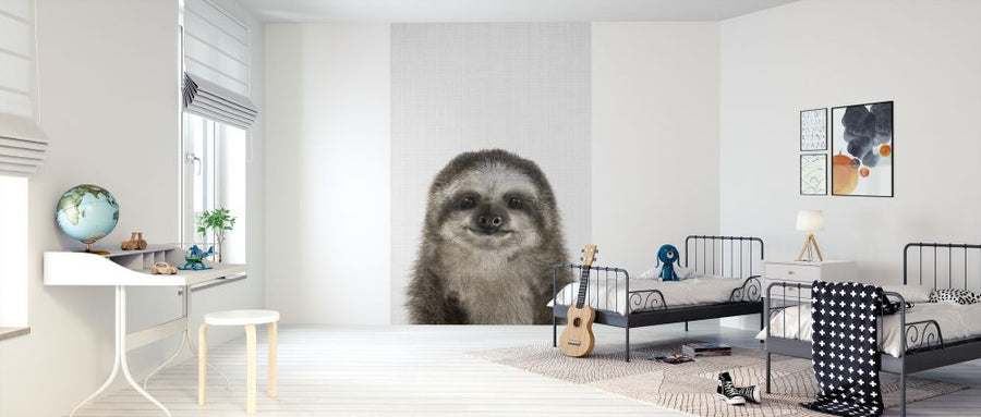 PHOTOWALL / Baby Sloth (e322786)