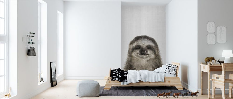 PHOTOWALL / Baby Sloth (e322786)