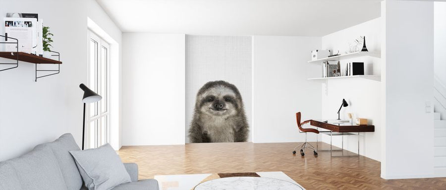 PHOTOWALL / Baby Sloth (e322786)