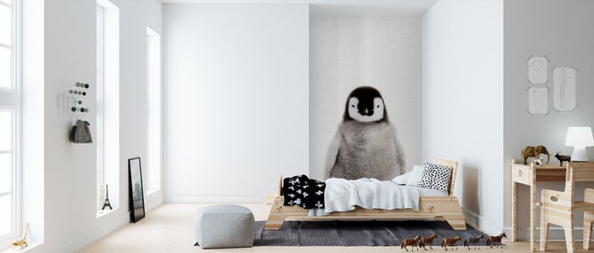 PHOTOWALL / Baby Penguin (e322787)