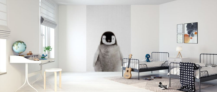 PHOTOWALL / Baby Penguin (e322787)