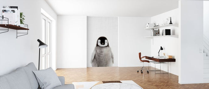PHOTOWALL / Baby Penguin (e322787)