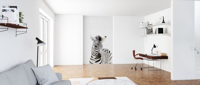 PHOTOWALL / Baby Zebra (e322790)