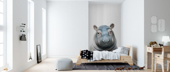 PHOTOWALL / Baby Hippo (e322792)