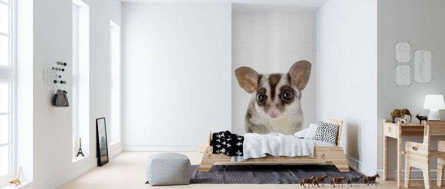 PHOTOWALL / Baby Sugar Glider (e322795) | 輸入壁紙専門店 WALPA