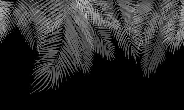 PHOTOWALL / Hanging Palm Leaves - Black-White (e321938)