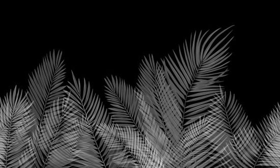 PHOTOWALL / Swaying Palm Leaves - Black-White (e321948)