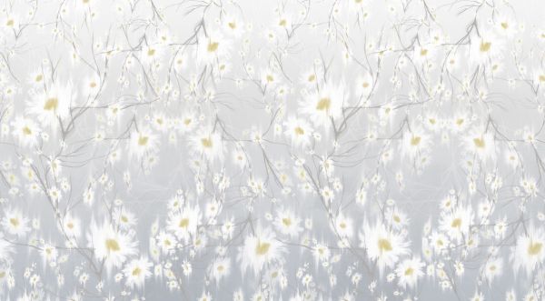 PHOTOWALL / Chamomiles - Gray (e322232)