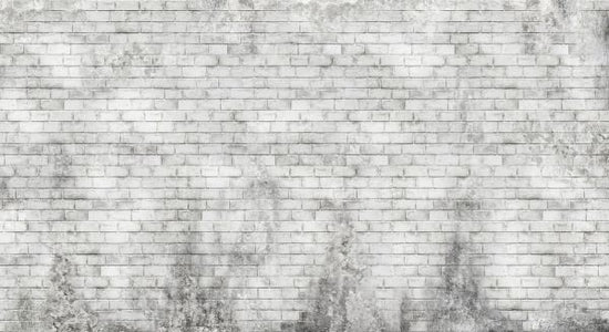 PHOTOWALL / Worn Brick Wall (e322246)