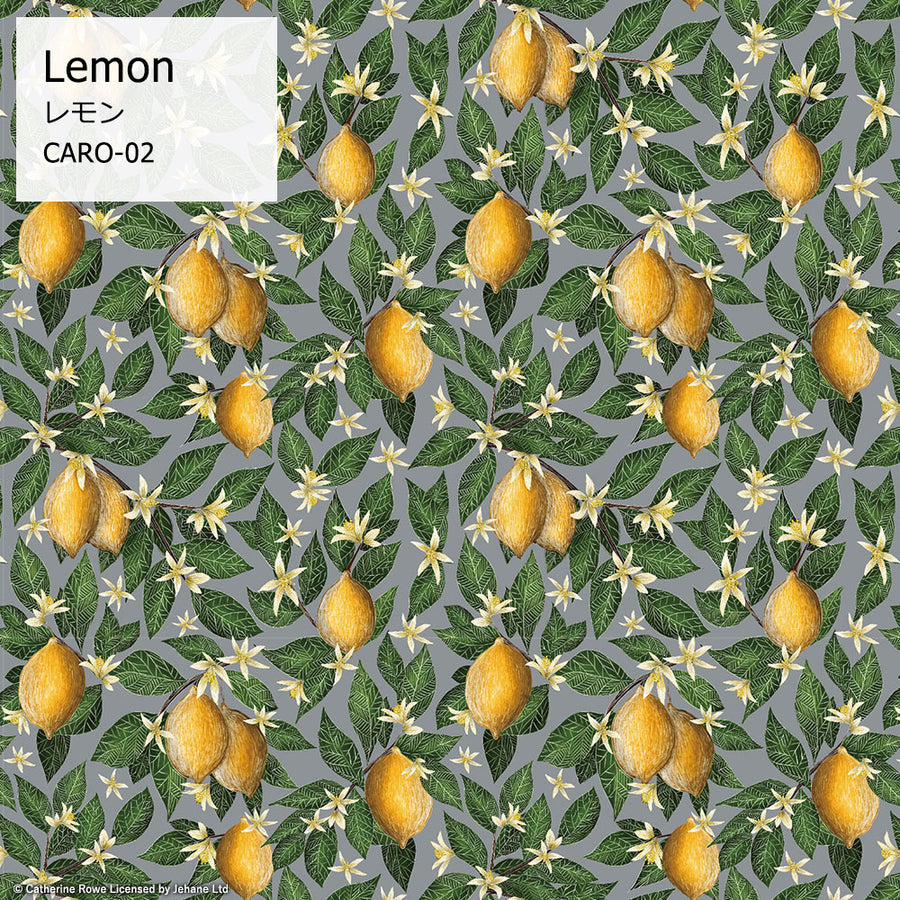 はがせる シール 壁紙【Hatte me!】Catherine Rowe / CARO-02-65x10 Lemon(65cm×1m)