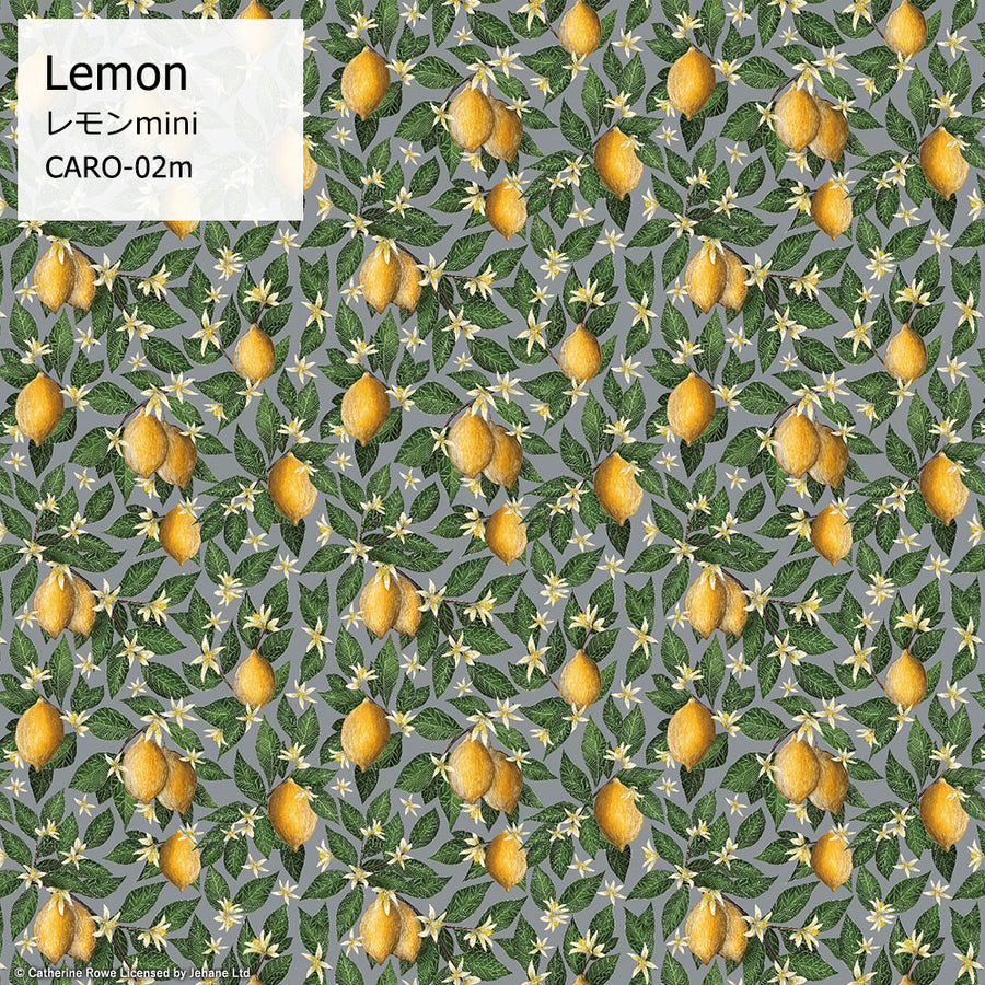 はがせる シール 壁紙【Hatte me!】Catherine Rowe / CARO-02m-65x10 Lemon mini(65cm×1m)