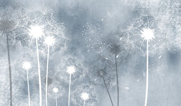 PHOTOWALL / Dandelion Sky (e322683)