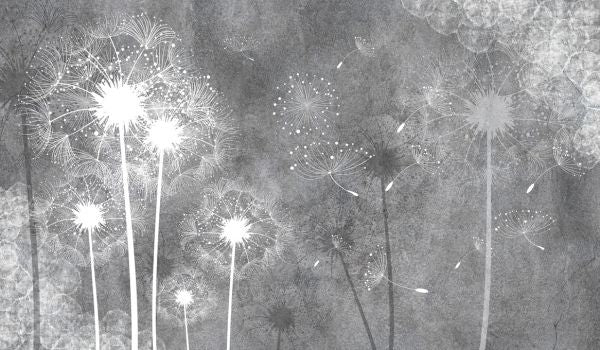 PHOTOWALL / Dandelion Sky II (e322684)