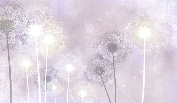 PHOTOWALL / Dandelion Sky III (e322685)