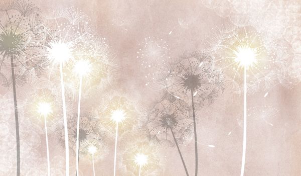 PHOTOWALL / Dandelion Sky VIII (e322690)