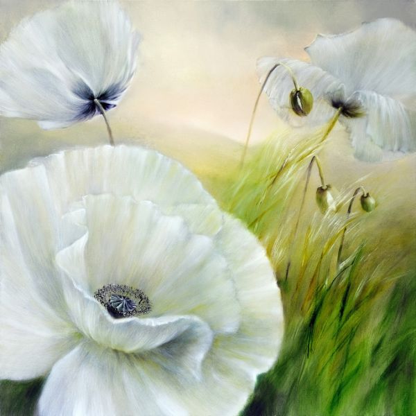 PHOTOWALL / White Poppy II (e322568)