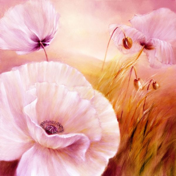 PHOTOWALL / White Poppy III (e322569)