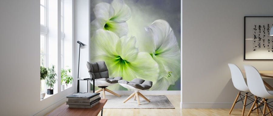 PHOTOWALL / White Amaryllis (e322579)