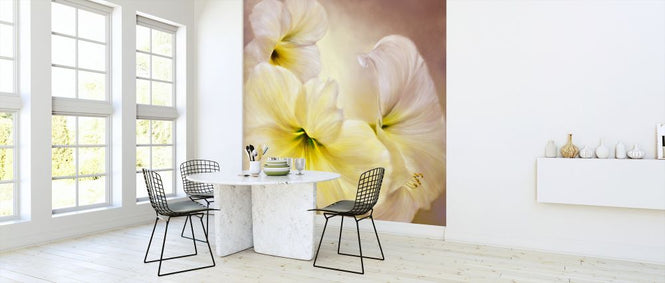 PHOTOWALL / White Amaryllis II (e322580)