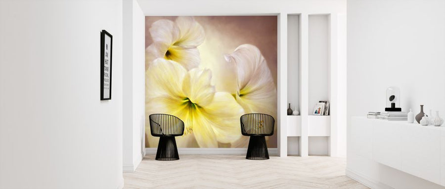 PHOTOWALL / White Amaryllis II (e322580)