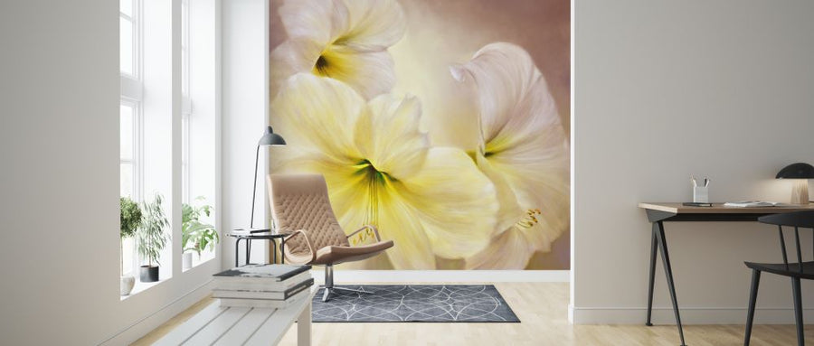 PHOTOWALL / White Amaryllis II (e322580)