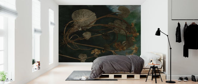 PHOTOWALL / March Marigold (e323110)