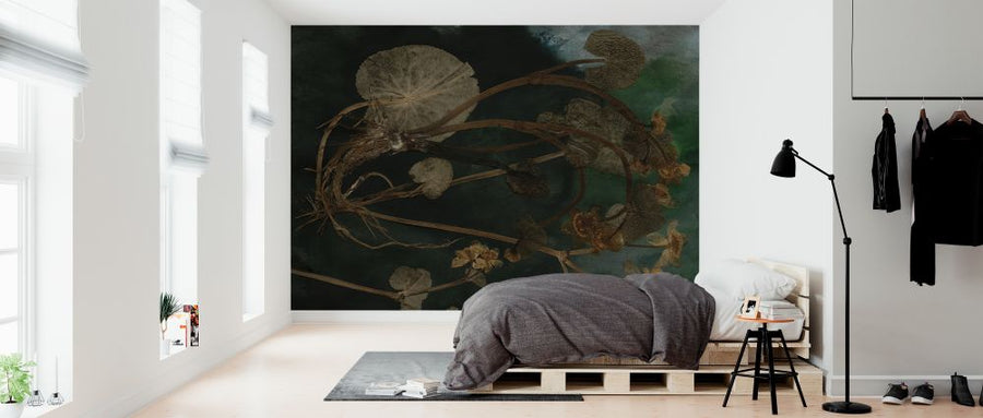 PHOTOWALL / March Marigold (e323110)