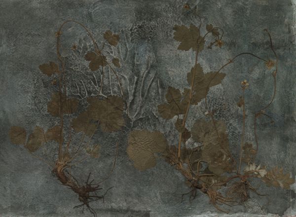 PHOTOWALL / Melange (e323112)