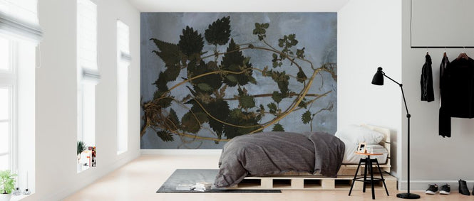 PHOTOWALL / Nettles (e323113)